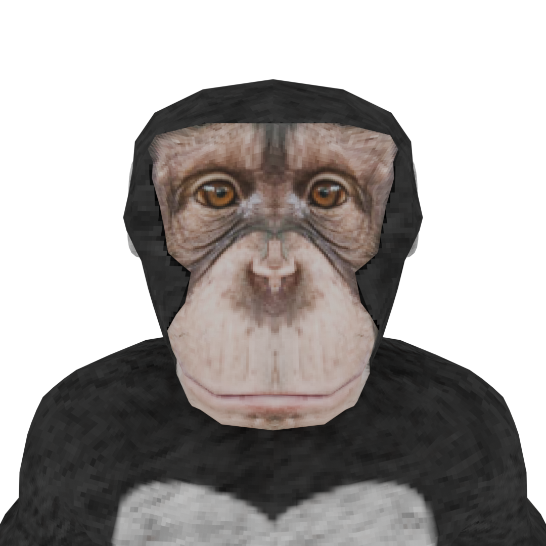 Portrait placeholder for developer one